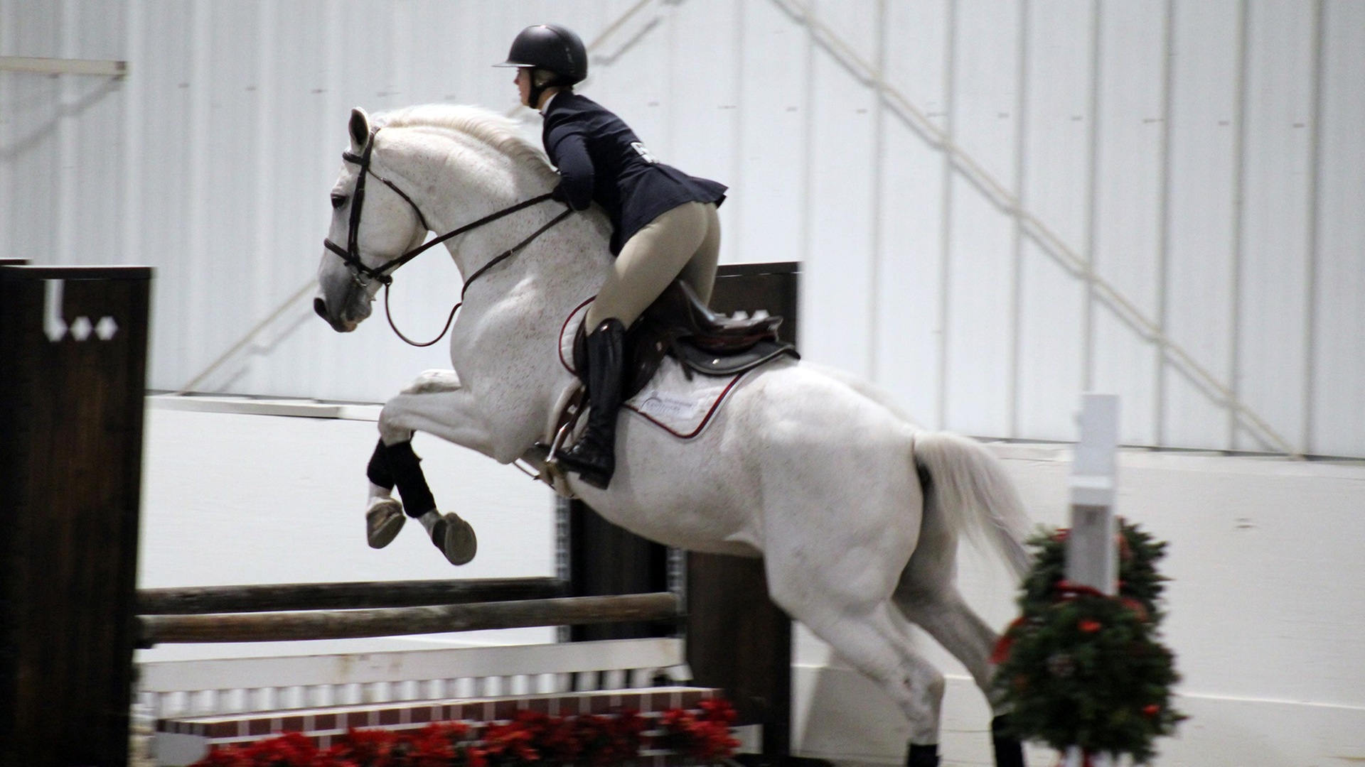 Hayley Anderson rides Silverstone during Intermediate Fences 12/2/23.  Photo by Quinn Kirkpatrick '25